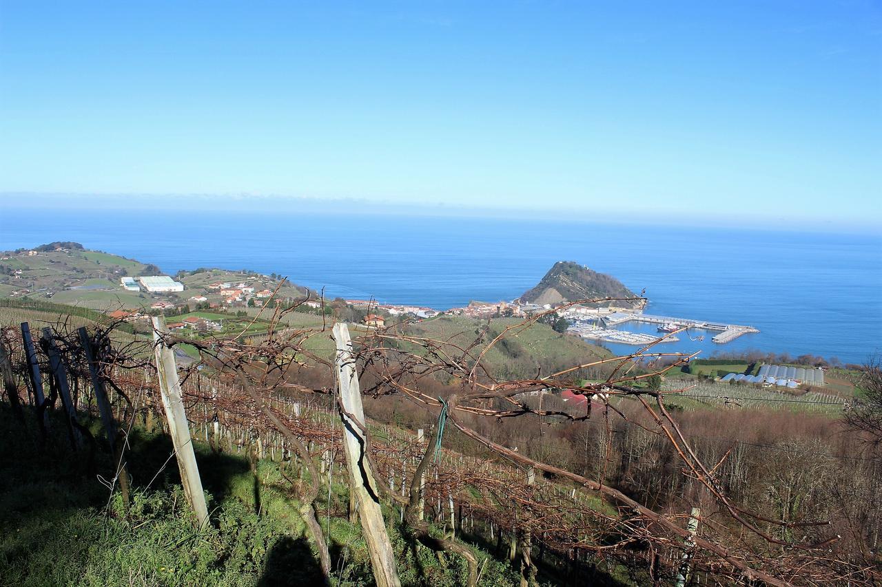 Bed and Breakfast Gazteategi à Zarautz Extérieur photo